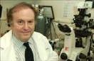 Dr. Jeffrey Steinberg MD